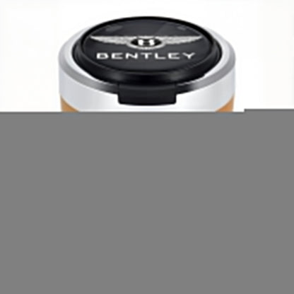 Σταχτοδοχείο αυτοκινήτου με LED από ανοξείδωτο ατσάλι Woyuosn χωρίς καπνό